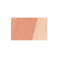 Schmincke AKADEMIE Acryl 60ml Tube (331 Fleischfarbe)