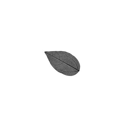 Skelett-Blätter, klein (schwarz)