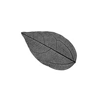 Skelett-Blätter, klein (schwarz)